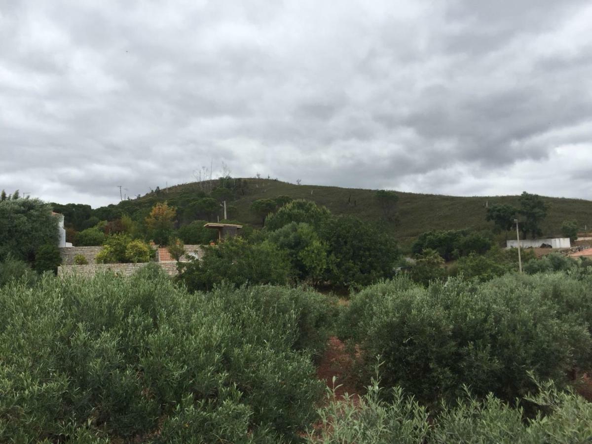 Slow House D'Encosta São Brás de Alportel Εξωτερικό φωτογραφία